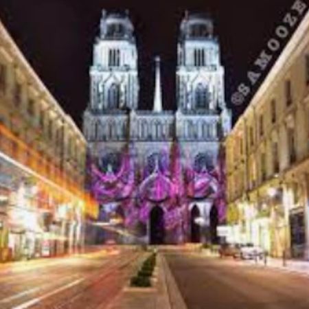 Chaleureux Appart, Proche De La Loire Avec Parking أورلييو المظهر الخارجي الصورة